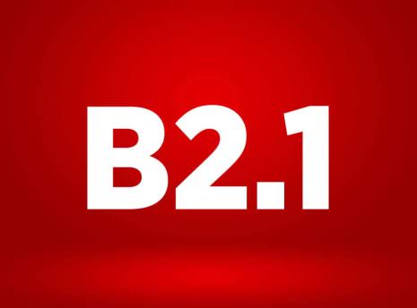 b2.1