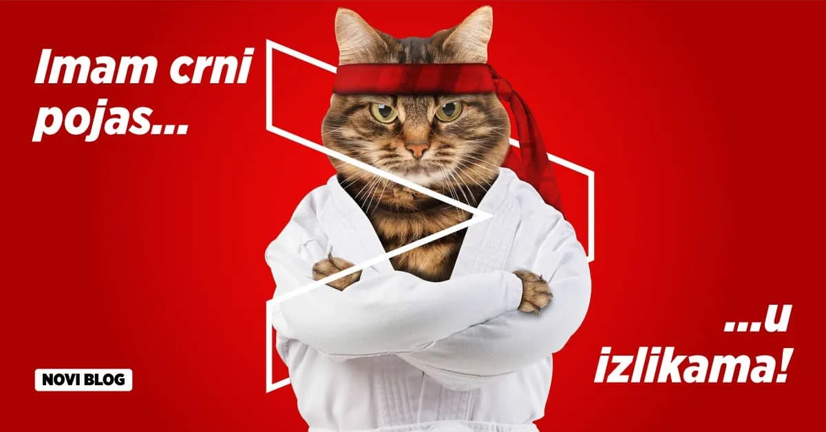 blog5 7 problema kod u enja njema kog 2