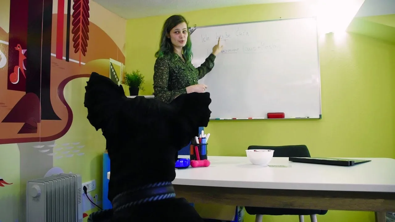 Video Thumbnail: NOVO! Škola njemačkog jezika za PSE! Woof! 🐶